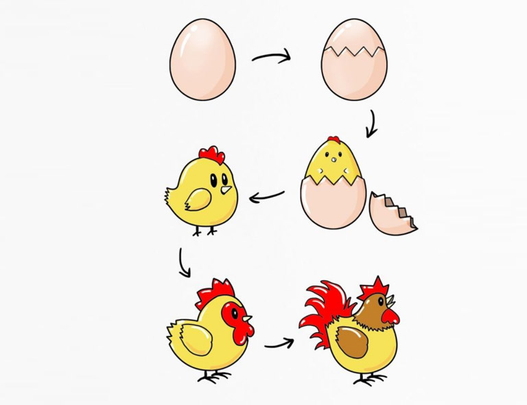 The proper temperature for different age of chicken